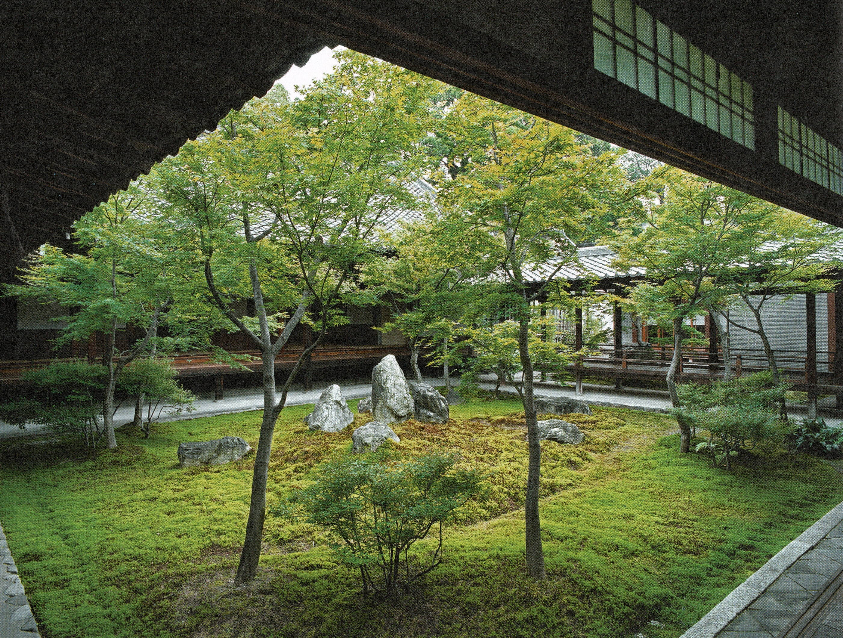 Sacred Space Prunus Garden And Tree Services